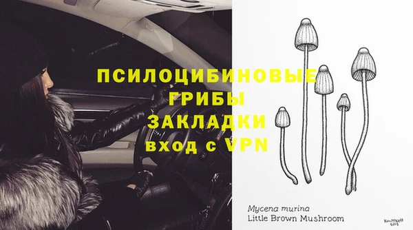 бошки Апатиты