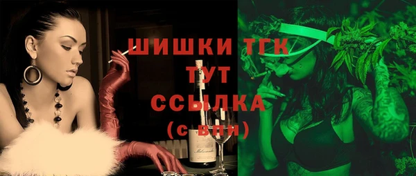 дживик Анива