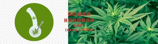 прущая мука Михайлов