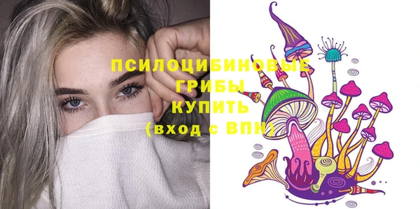 бутират Медногорск