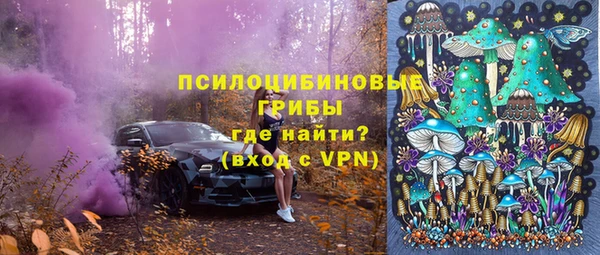 дживик Анива