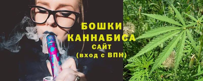 Бошки Шишки THC 21%  купить наркотик  Ковылкино 